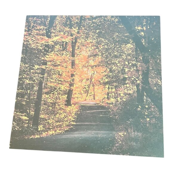 Craft Smith Autumn Dream 12x12 Scrapbook Paper Pad 46 Acid Free Sheet Fall Theme - Picture 2 of 16